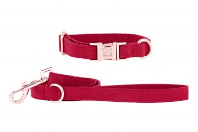 Strawberry designer dog collar and lead by IWOOF