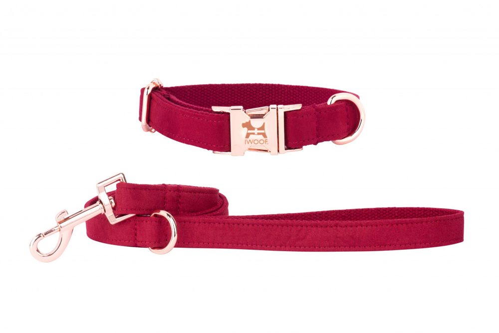 CORNISH RED Designer Dog Collar and Lead set in Rose Gold by