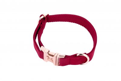 Cornish red designer dog collar by IWOOF