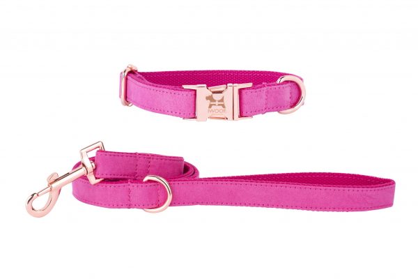 PINK with Cornish flag designer dog collar and lead by IWOOF