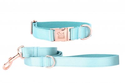 ACE designer dog collar and lead in JADE by IWOOF with rose gold buckle