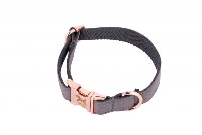 Dolphin designer dog collar with British flag and rose gold fittings by IWOOF