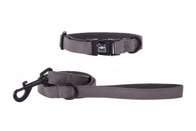 dolphin designer dog collar and lead in black with Cornish flag