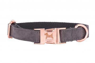 Dolphin designer dog collar with British flag and rose gold fittings by IWOOF