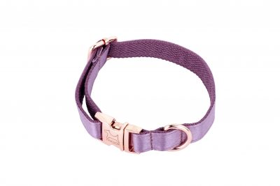 ESMA designer dog collar in mauve silk with rose gold fittings by IWOOF