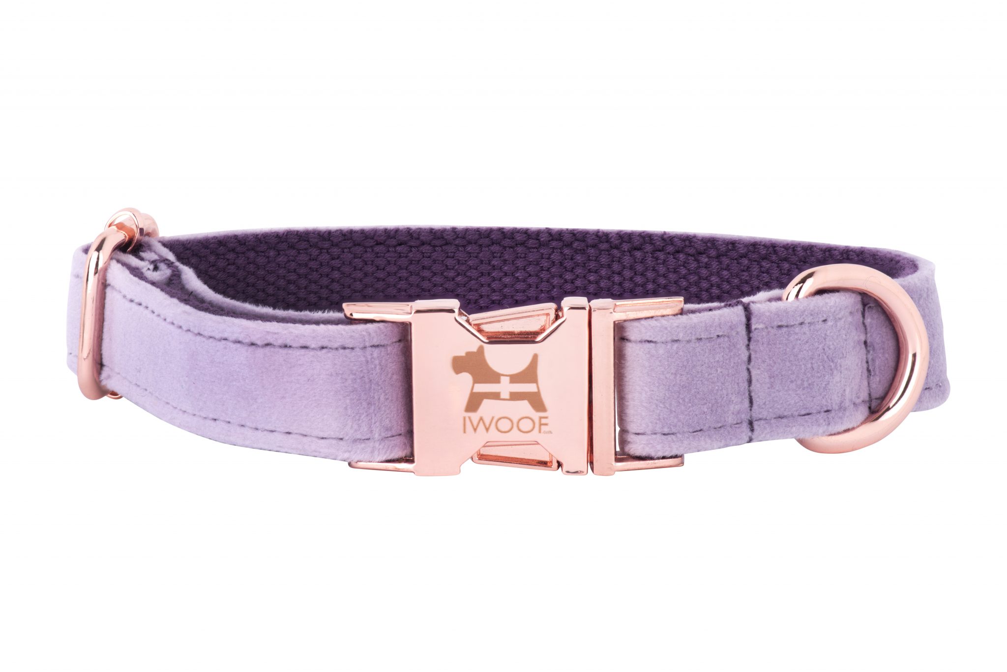 Lavender dog collar in rose gold with Cornish flag
