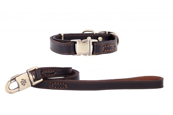 POLZEATH leather designer dog collar and lead in brown lay IWOOF
