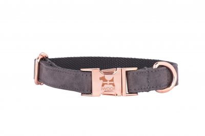 Dolphin designer dog collar by IWOOF with Cornish flag and rose gold fittings