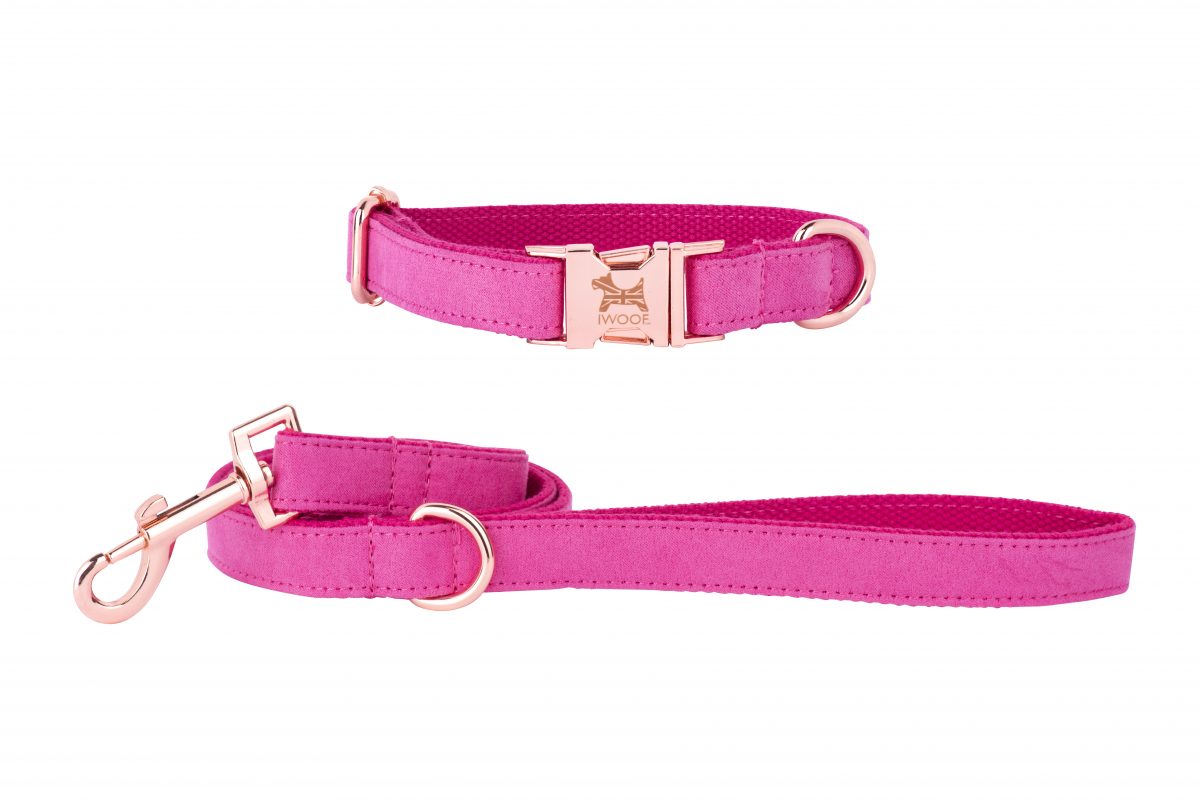 ENGLISH ROSE Designer Dog Collar and Lead set in Rose Gold by