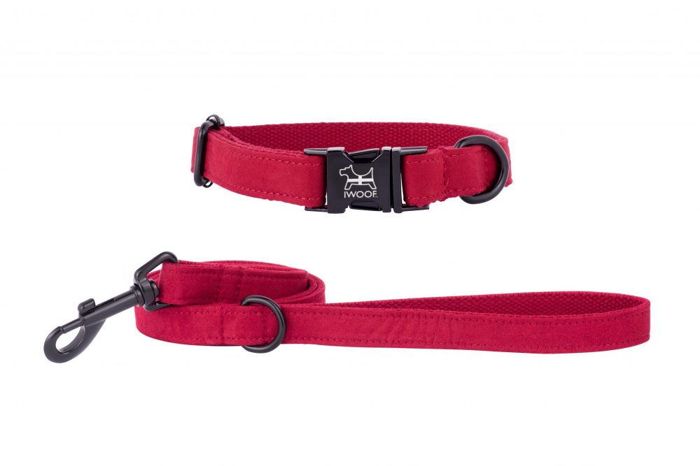 CORNISH RED Designer Dog Collar and Lead set in Black by in