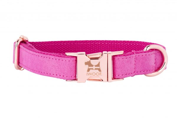 PINK designer dog collar with Cornish flag and rose gold fittings by IWOOF
