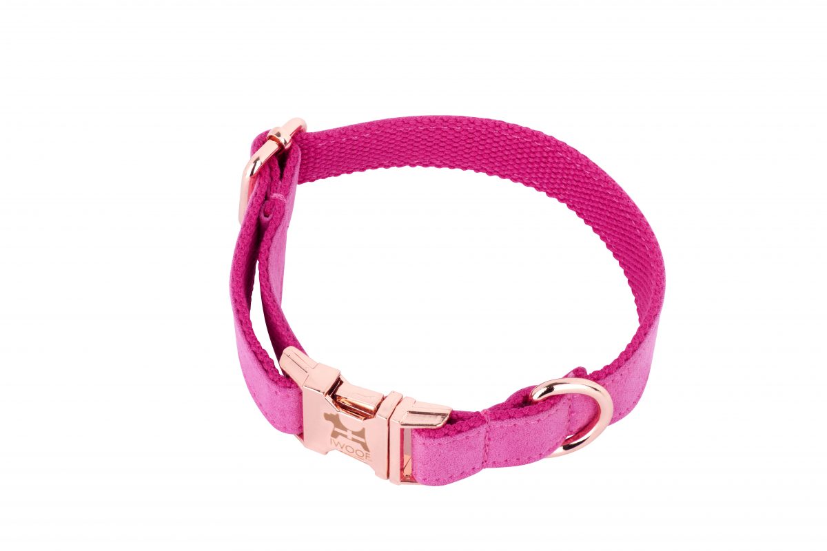 PINK CORNWALL Designer Dog Collar and Lead set in Rose Gold by IWOOF