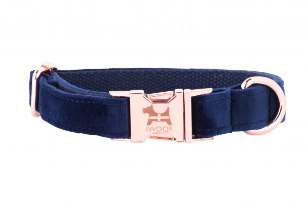 CORNISH Blue designer dog collar by IWOOF with rose gold buckle
