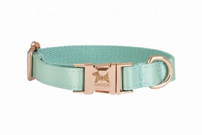 Ace dog collar in jade and rose gold