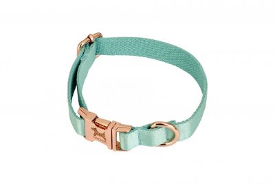 Ace Jade green dog collar