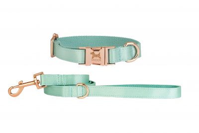 Ace Designer Dog Collar and Lead set by IWOOF
