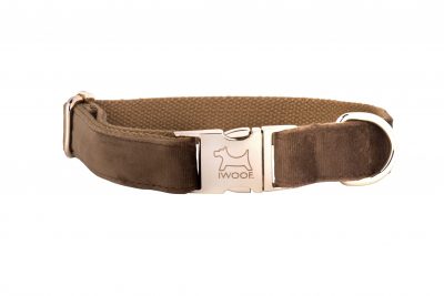 Cappuccino designer dog collar by IWOOF