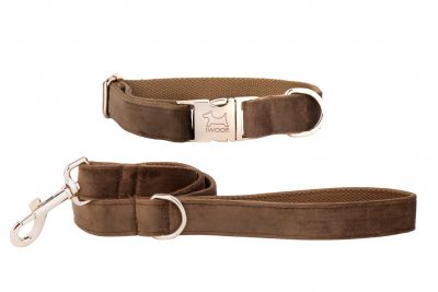 Cappuccino designer dog collar and lead by IWOOF