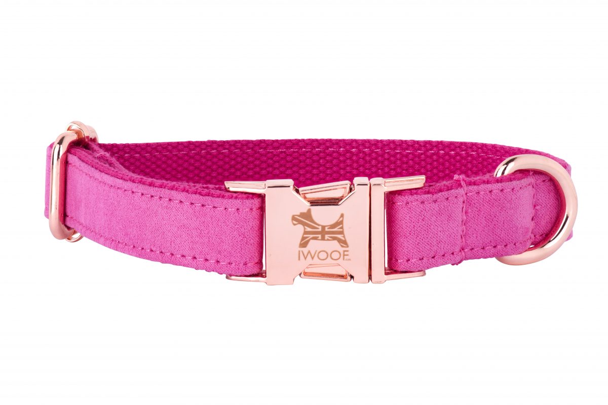 ENGLISH ROSE Designer Dog Collar and Lead set in Rose Gold by