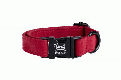 Pillar Box Red Designer Dog Collar by IWOOF