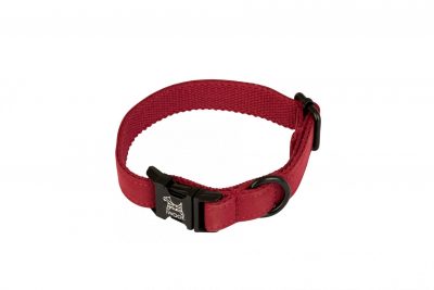 Pillar Box Red dog collar by IWOOF