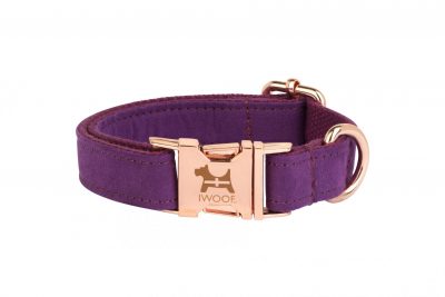 Amethyst Cornish dog collar by IWOOF