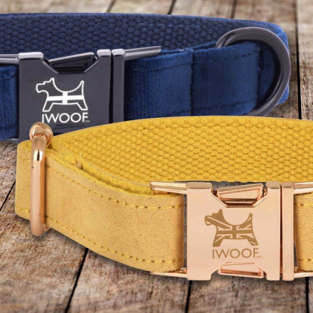 Designer Dog Collars and Leads by